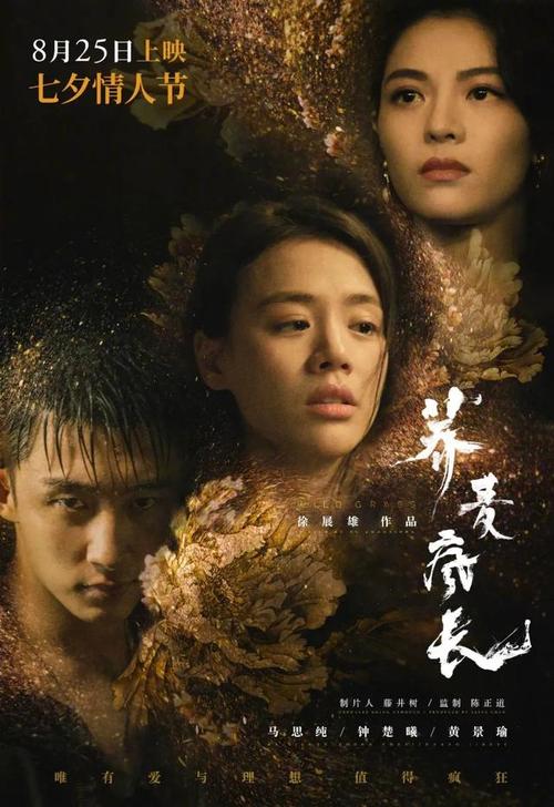 汉姆应用技术大学 Business diplom